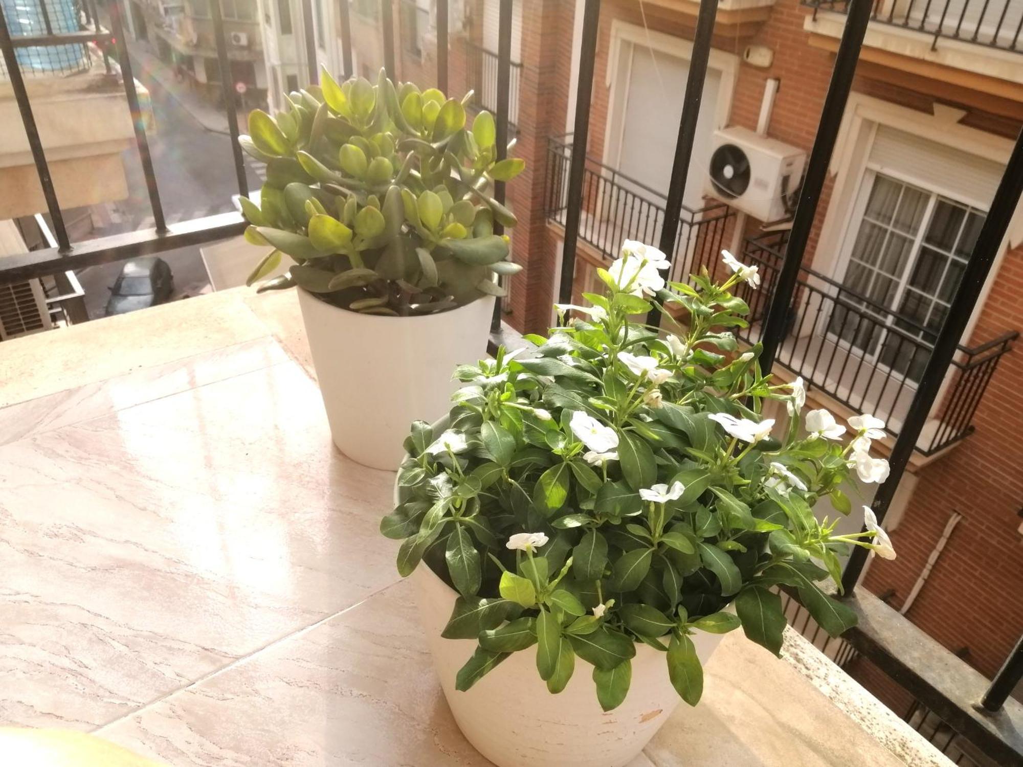Centrico Apartamento Vara De Rey Murcia Buitenkant foto
